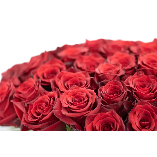 Bouquet of Ecuadorian roses 80 cm